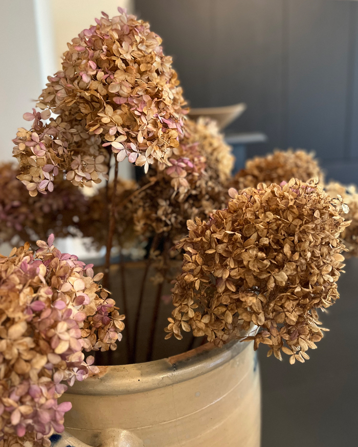 Natuurlijke-styling_03 blank