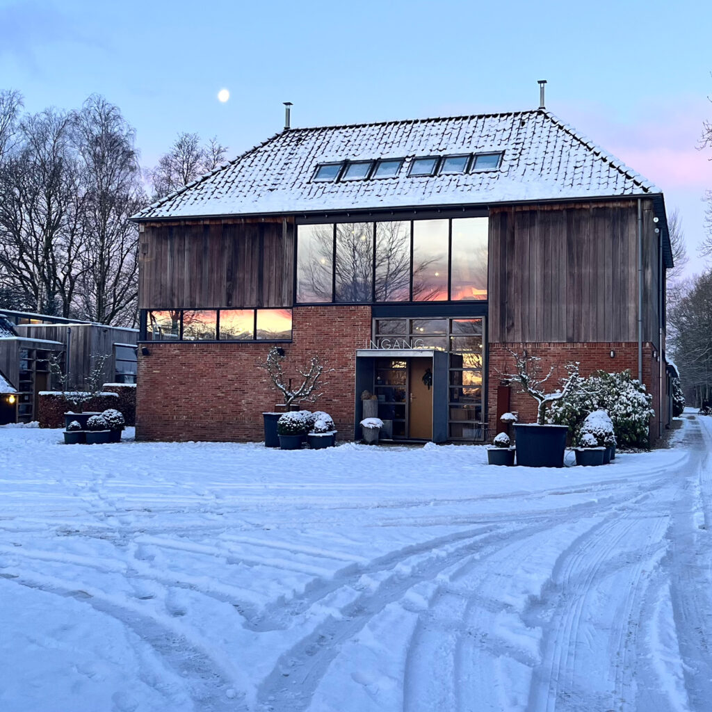 Pilat-showroom-winter blank